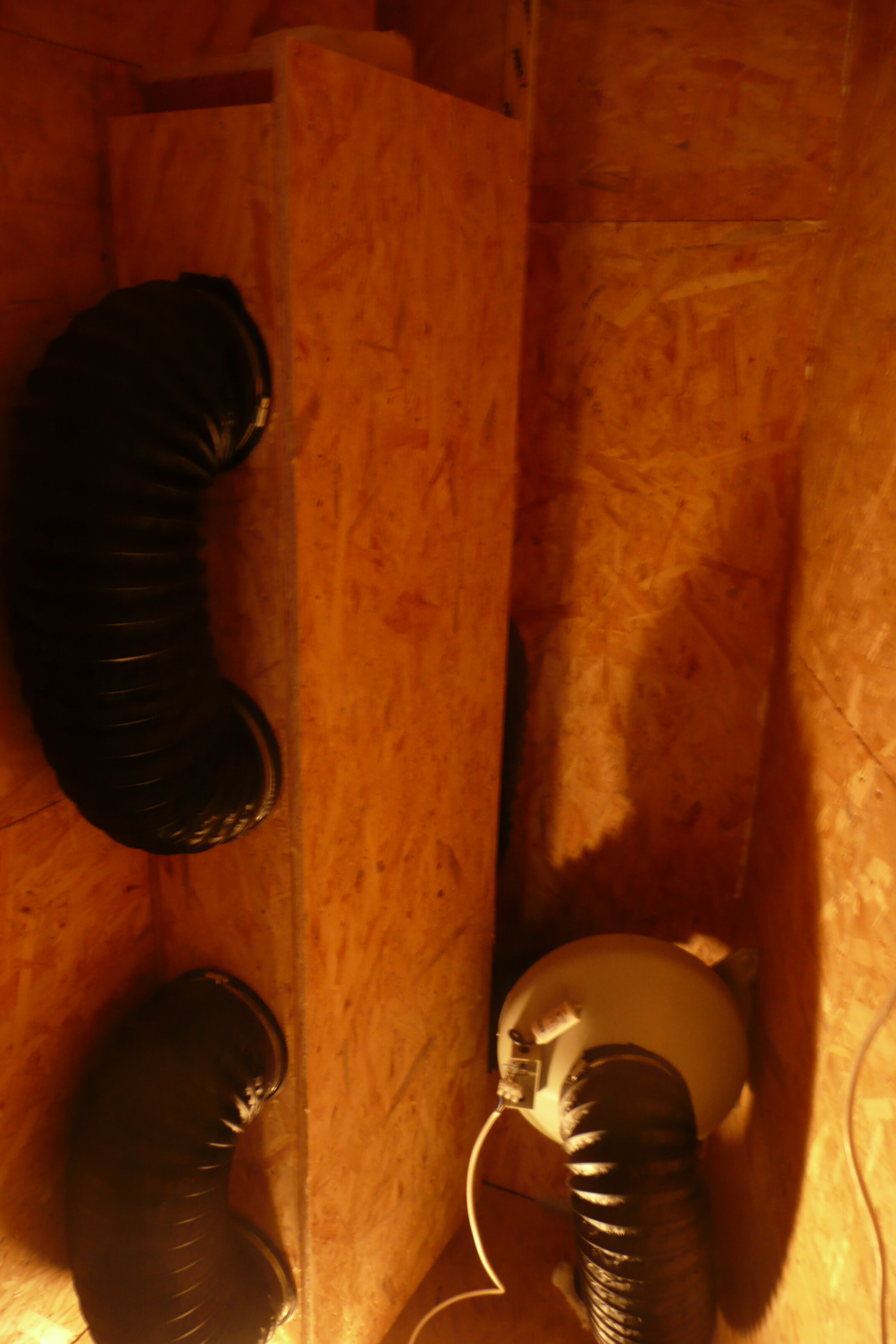 Electrypnose